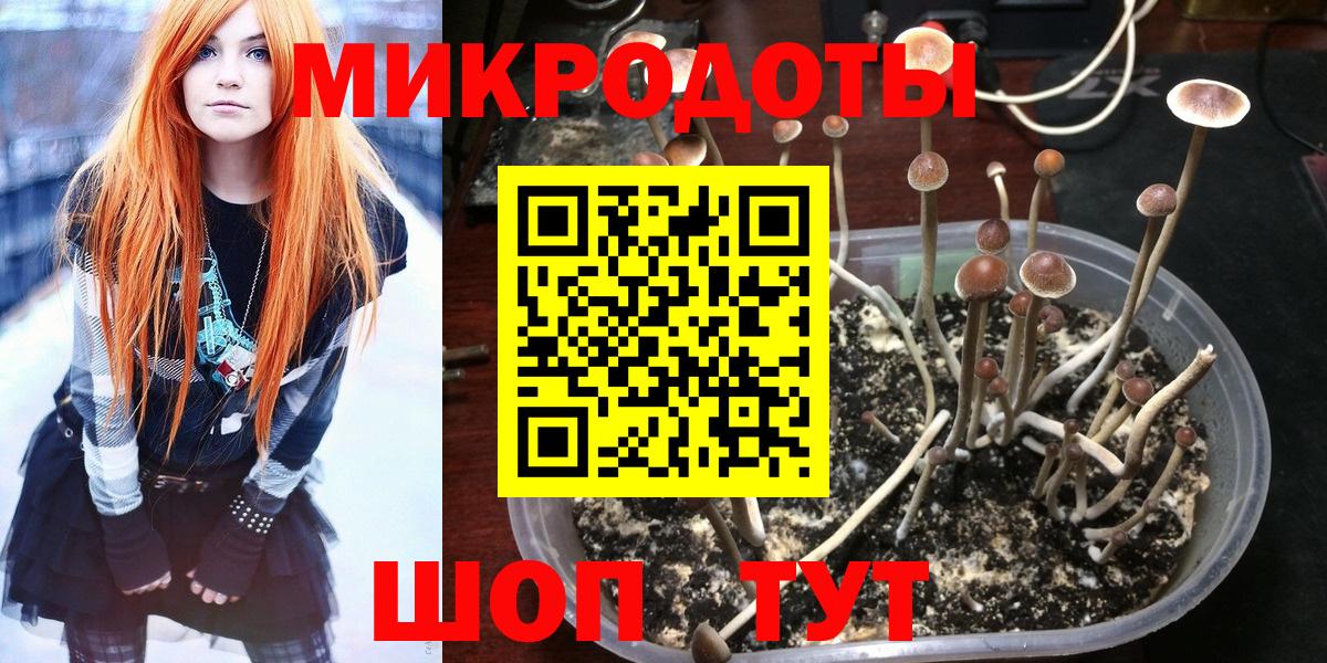 Галлюциногенные грибы ЛСД Ревда